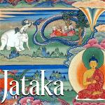 jataka