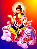 pho-hien-hanh-nguyen