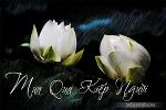 mua-qua-kiep-nguoi-thich-huyen-lan