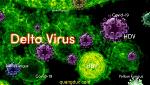 corona-virus