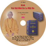 nhan-cd-tap-5-kinh-dai-bat-nha