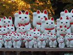 04-cac-chu-meo-maneki-chua-gotokuji-temple-25157733895-