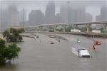 bao-lut-houston-2