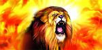 lion-roar