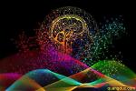 khoa-hoc-than-kinh-1-