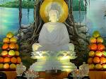 phat-thanh-dao