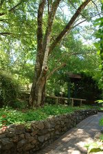 woodhouse-1