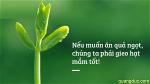 luat-nhan-qua