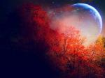 autum-moon-1