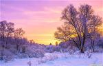 winter