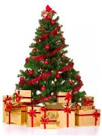 cay-thong-noel-tuyet-dep