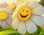 happy-face