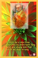 ht-thich-ngo-tanh-tkvinh-huu