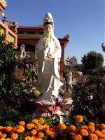 quan-am-bo-tat-quang-duc