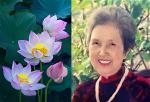 nguyen-thi-si