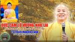 30-duc-cam-lo-vuong-nhu-lai