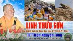 50-linh-thuu-son