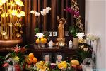 kieu-dam-di-67-