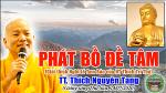 32-phat-bo-de-tam