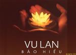 vulanb-1