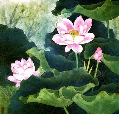lotus_50