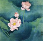 lotus-51
