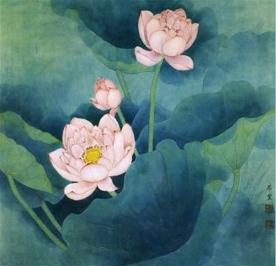 lotus_51