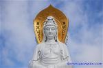 an-vi-bo-tat-quan-am-2-