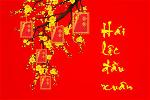 loc-xuan