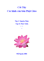 cottuycackinhcanbanphatgiao-phonguyet