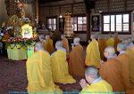 kieu-dam-di-42-