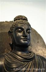 buddha-426