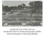 85chunghiakinhdida1