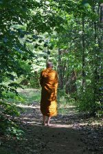 forest-monk