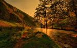 river-flow-and-trees-wide