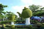 binh-tra-khong-lo-8