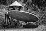bamedilac-tuongdinh