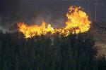 bushfire-1