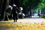 ganh-hang-rong