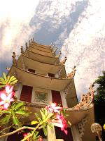 cung-duong-tam-bao-1