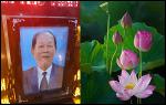 nguyen-hoang-hai