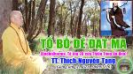 01-dat-ma-to-su
