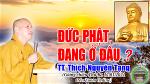 tt-thich-nguyen-tang-duc-phat-dang-o-dau