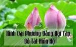 kinhdaiphuongdangdaitap-botathienho