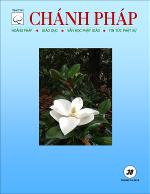frontpagenew-38