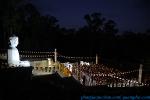 hoa-dang-2022-184-