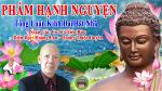 pham-hanh-nguyen