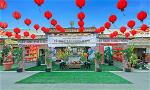 giac-linh-duong-on-thang-hoan-4-