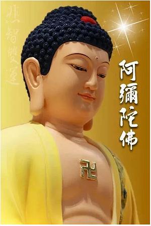 Duc Nhu Lai