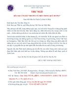 chua-viet-nam-nhat-ban